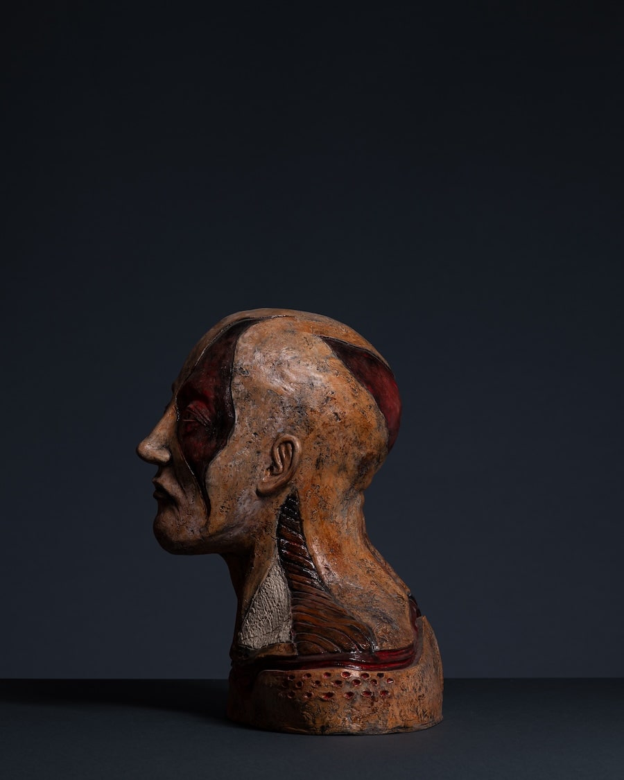 Ožiljak heroja 5 - thumbnail