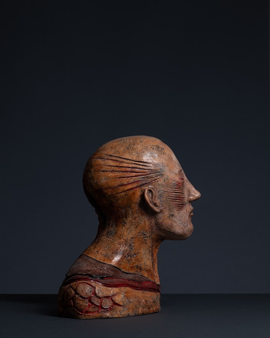 Ožiljak heroja - preview back